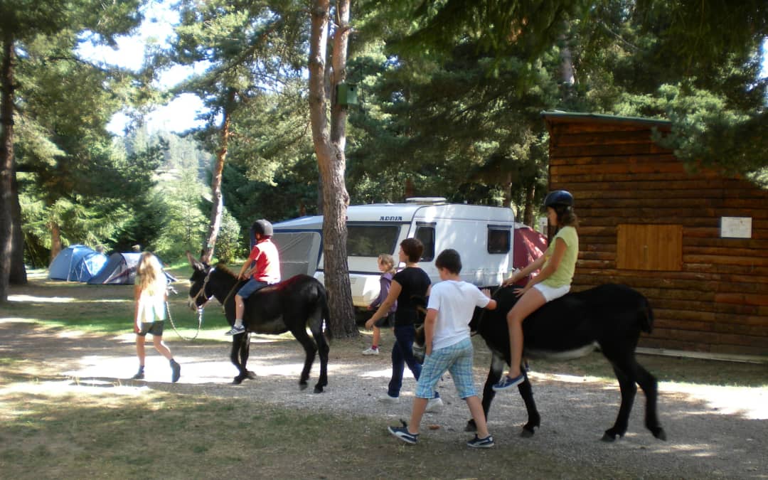 Camping Les Sapins