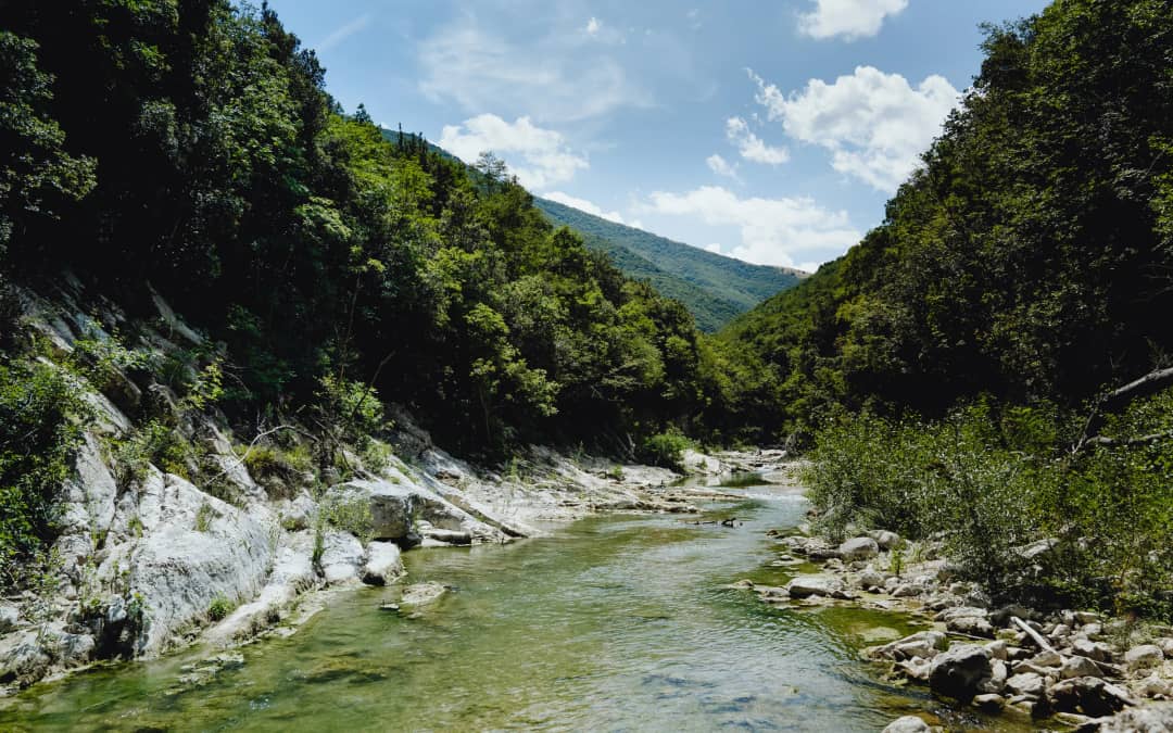Camping Casa Tartufo