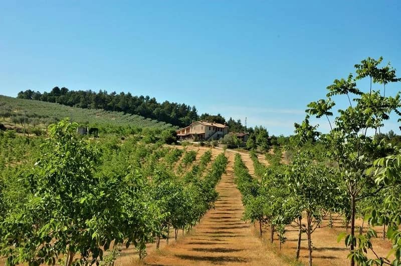Camping Pian di Boccio