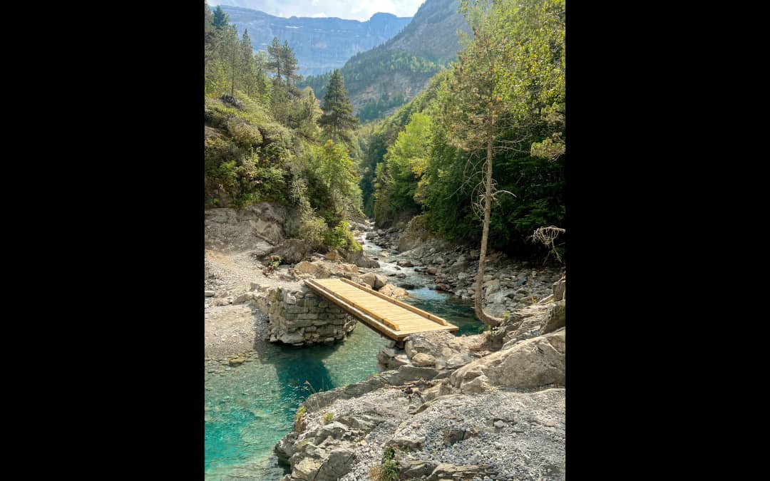 Camping Les Sapins