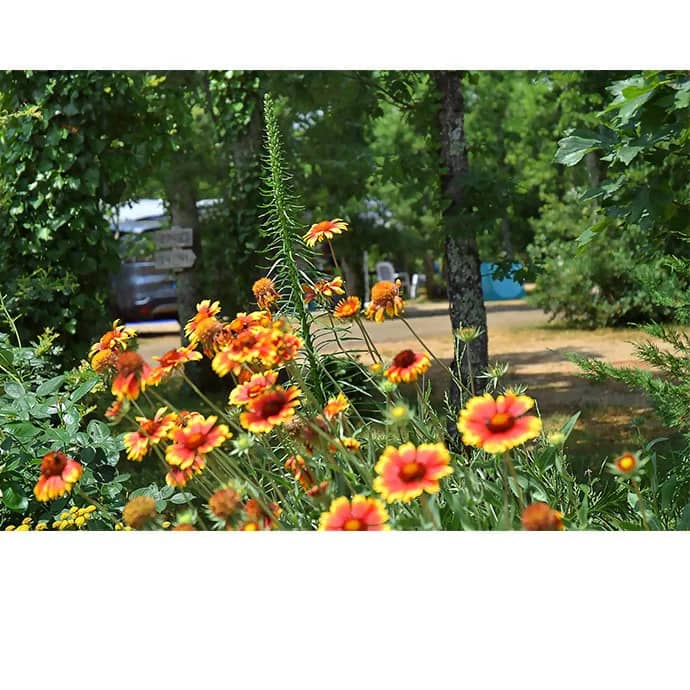 Camping Les 3 Cantons