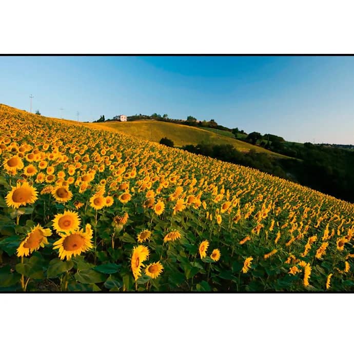 Camping Podere Sei Poorte