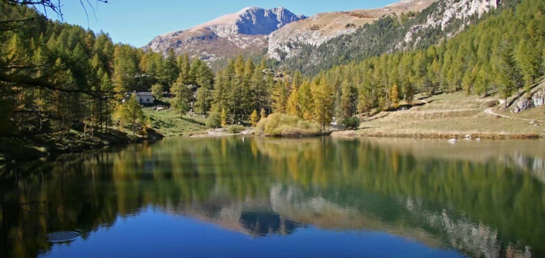 Camping Delle Rose