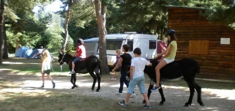Camping Les Sapins