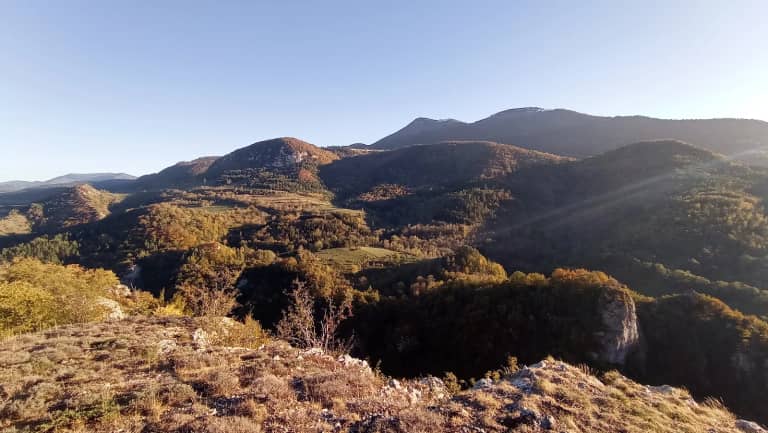 Pireneji kod Camuraca