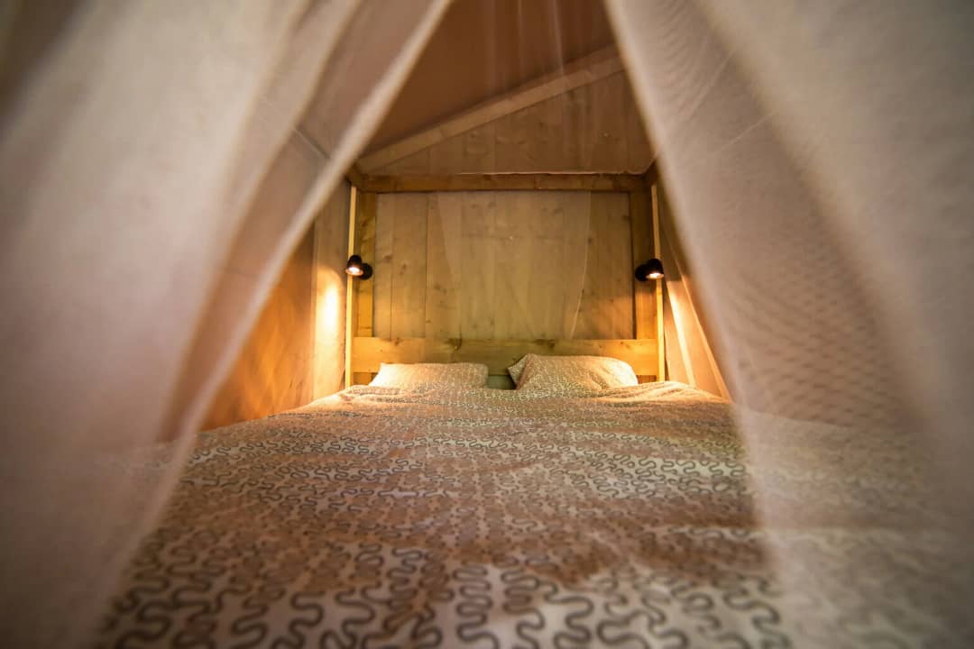 Safari Lodge + Teeny Lodge 2-6P