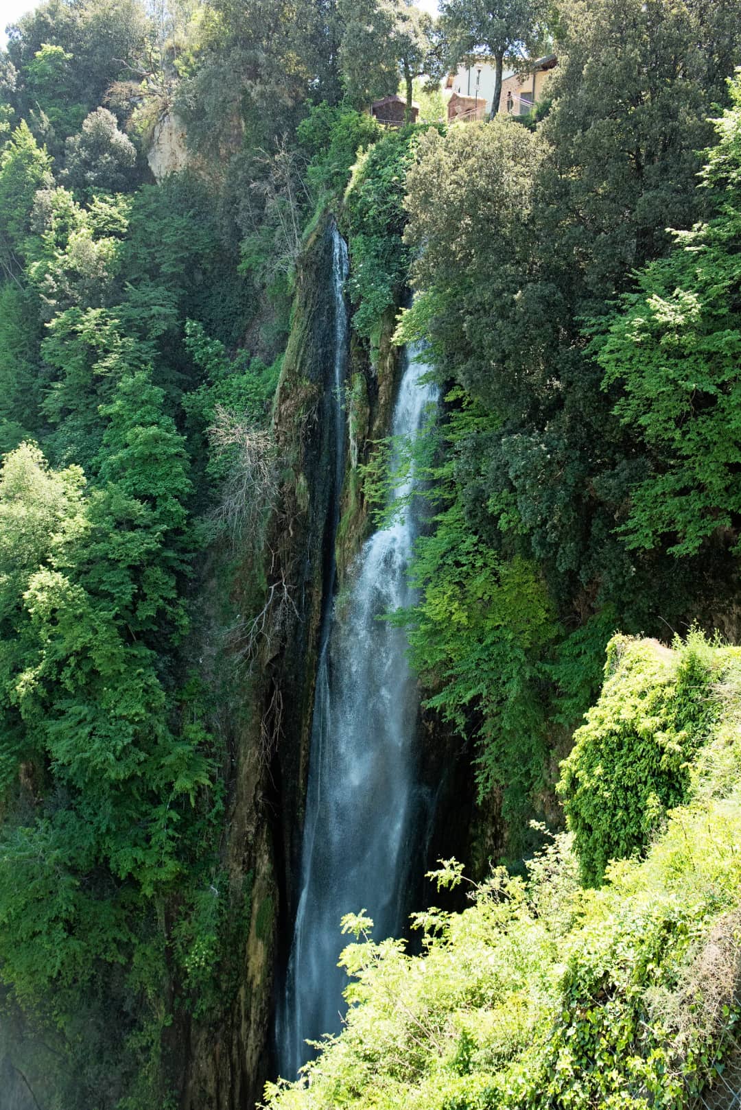 Waterval tussen het groen