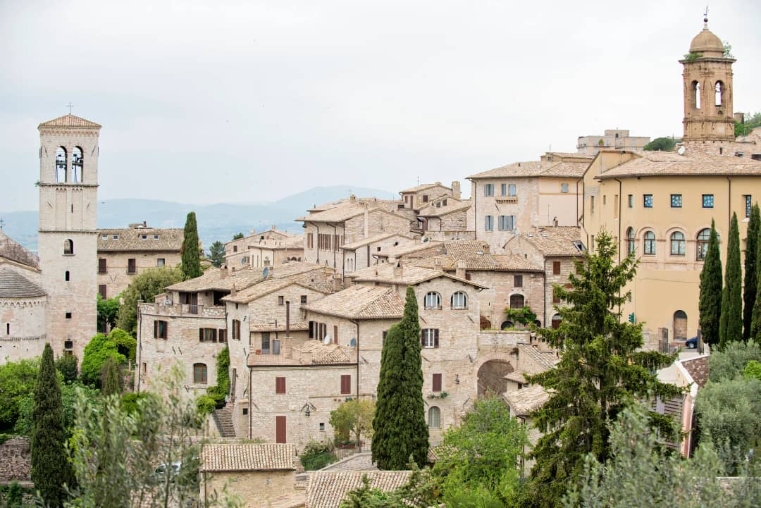 Assisi met zijn stenen huizen tussen het groen