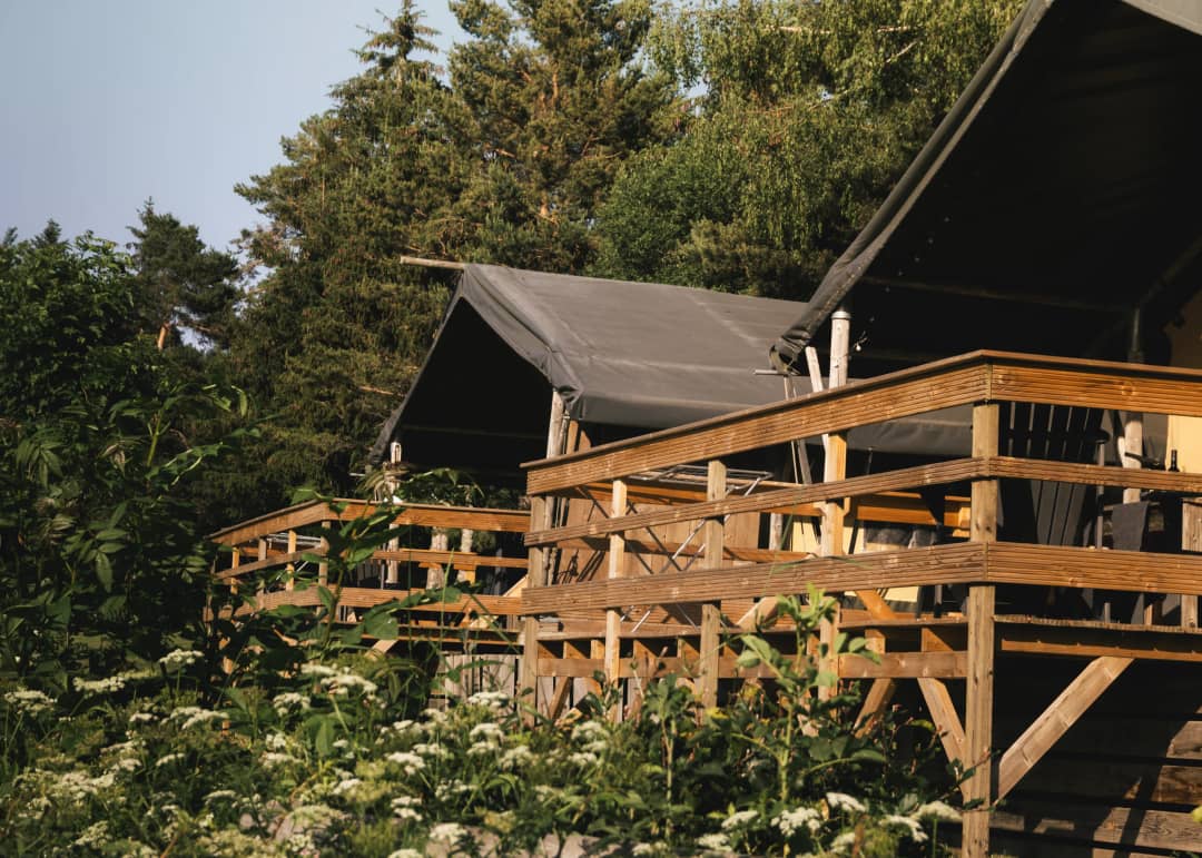 Base Lodge op palen tussen de wilde bloemen
