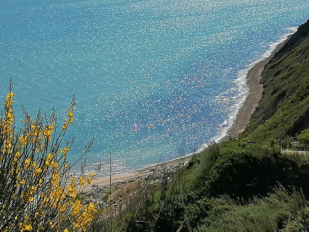 Parco San Bartolo en Fiorenzuola di Focara