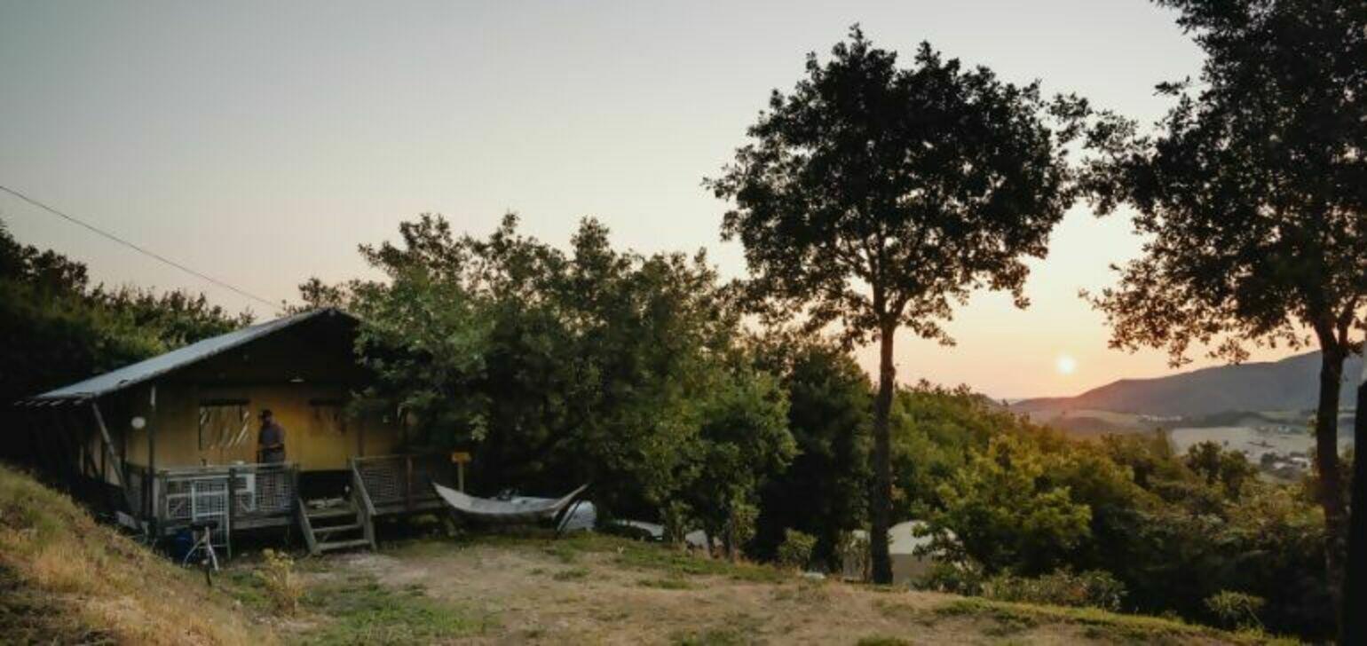 Wood Nature Lodge tussen de bomen