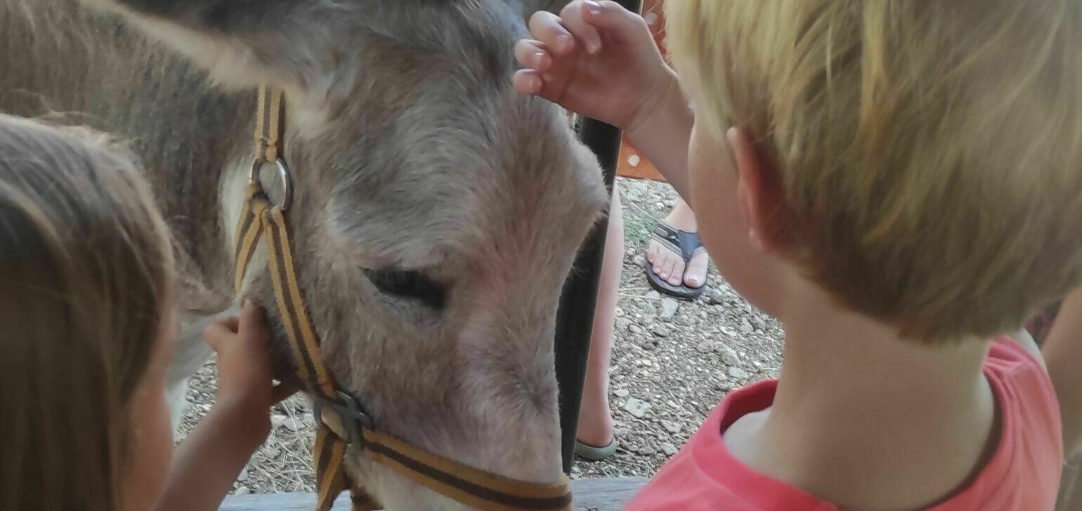 Genieten op de camping