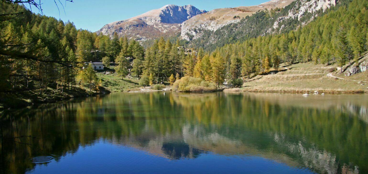 Camping delle rose omgeving